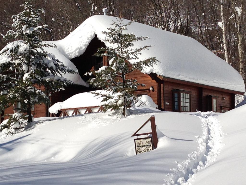 Holiday Cottage Green Valley Hakuba Exterior photo