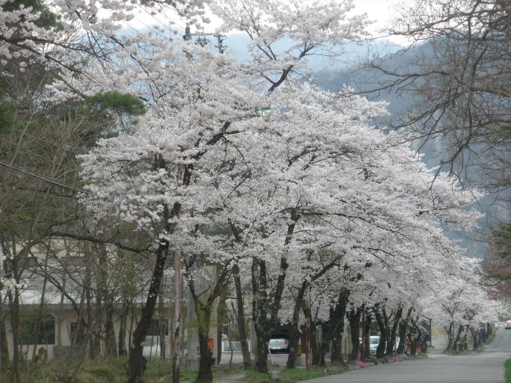 Holiday Cottage Green Valley Hakuba Exterior photo