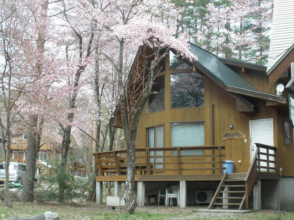 Holiday Cottage Green Valley Hakuba Exterior photo
