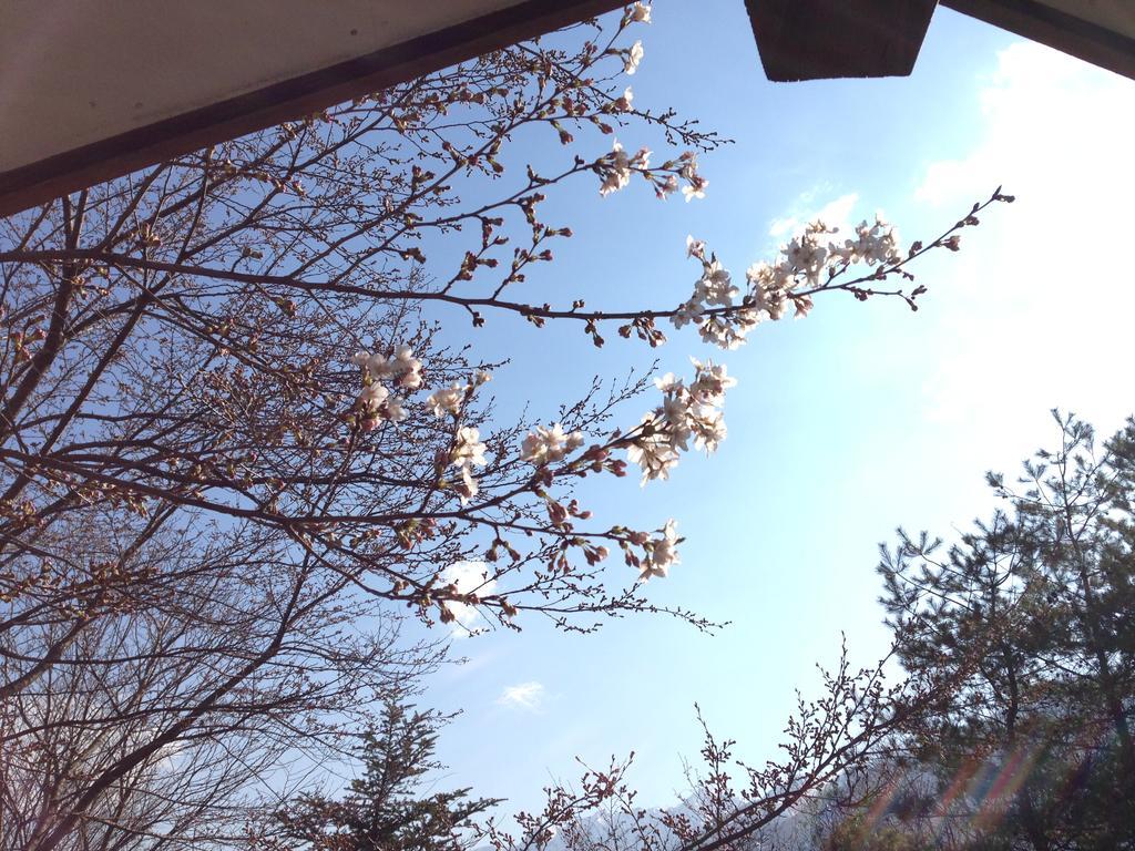 Holiday Cottage Green Valley Hakuba Exterior photo